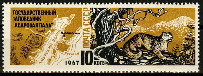 3452. СССР 1967 год. Заповедник "Кедровая падь"