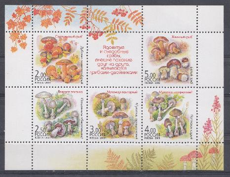  (876-880 ) Малый лист. Россия 2003 год. Флора. Грибы- двойники.