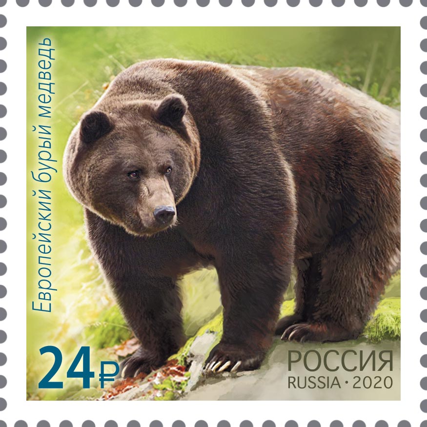 2717-2718. Россия 2020 год.  Совместный выпуск Российской Федерации и Республики Корея. Фауна