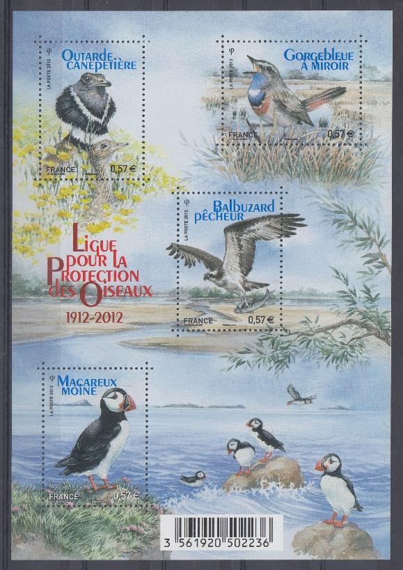 Птицы. Франция 2012 год. Хищные и лесные птицы.