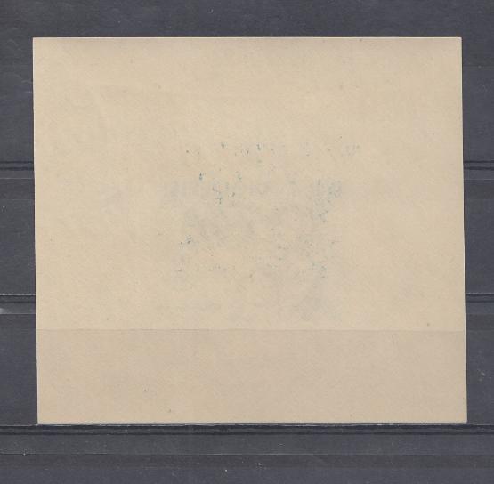 Албания 1959 год. Mich блок №6. 10 лет Всеобщей декларации прав человека. 