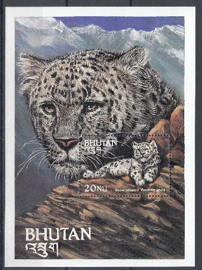 Снежный барс. Бутан. Белый леопард.
