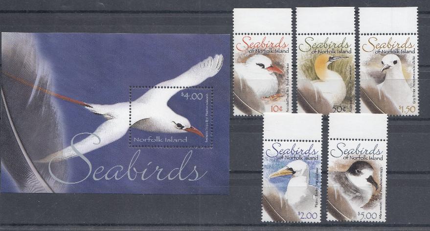 Птицы. Норфолк о-ва. Чайки.