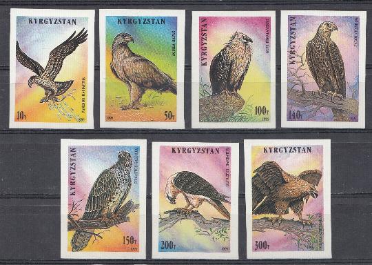 Птицы. Киргизия.