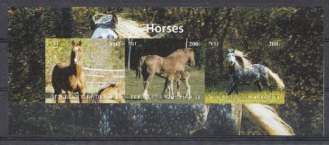 Фауна. Республика Джибути 2011 год. Лошади. 
