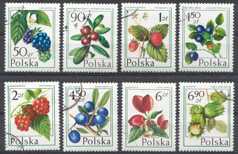 Флора. Ягоды. Польша 1977 год.