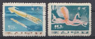 Морская фауна. КНДР 1965 год. Осьминог. Кальмары.