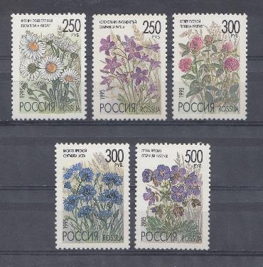  216-220.  Россия 1995 год. Флора. Полевые цветы России.