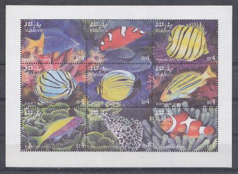 Морская фауна. Мальдивские острова. Коралловые рыбки.