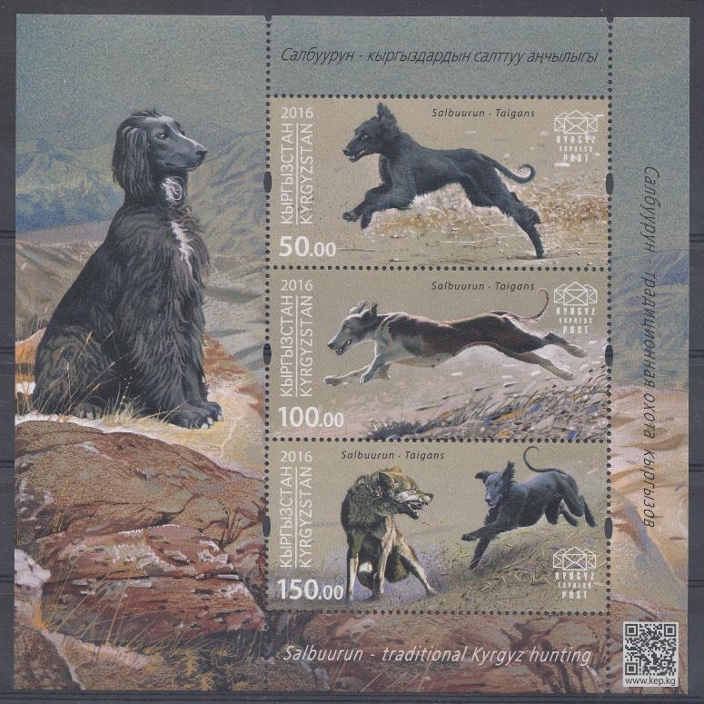 Собаки. 2016 год Кыргыстан. Охотничьи собаки.