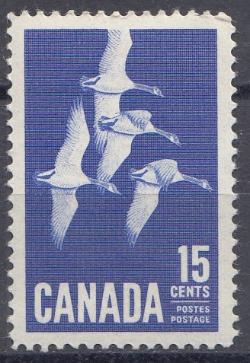 Птицы в полёте. Канада 1963 год.