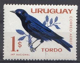 Птицы. Уругвай. 