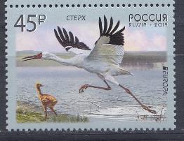 2436 Россия 2019 год.  ( Е ) Европейский выпуск. Фауна. Птицы. Стерх.