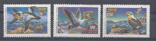  101-103. Россия 1993 год. Фауна. Утки гага.