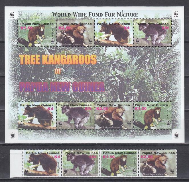 Фауна. Папуа новая Гвинея. WWF. Сумчатые медведи. 