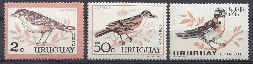 Птицы. Уругвай 1963 год.