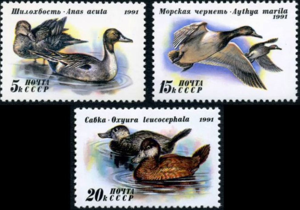 6268-6270. СССР 1991 год. Утки