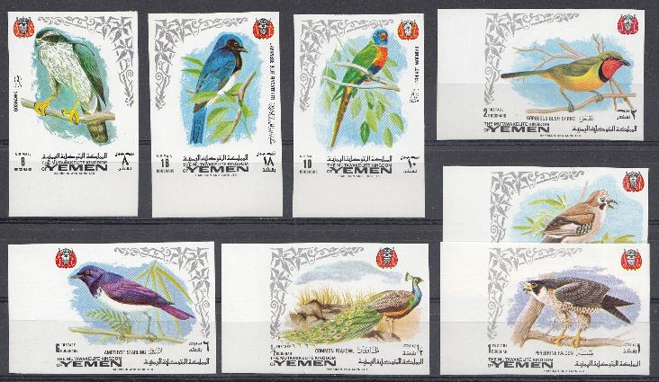 Птицы. Йемен.