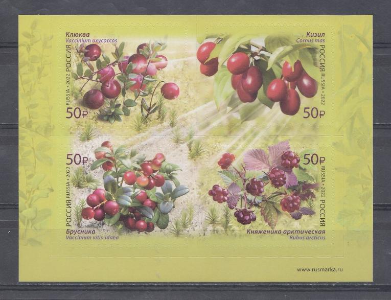 2884- 2887 Россия 2022 год. "Флора России. Ягоды".