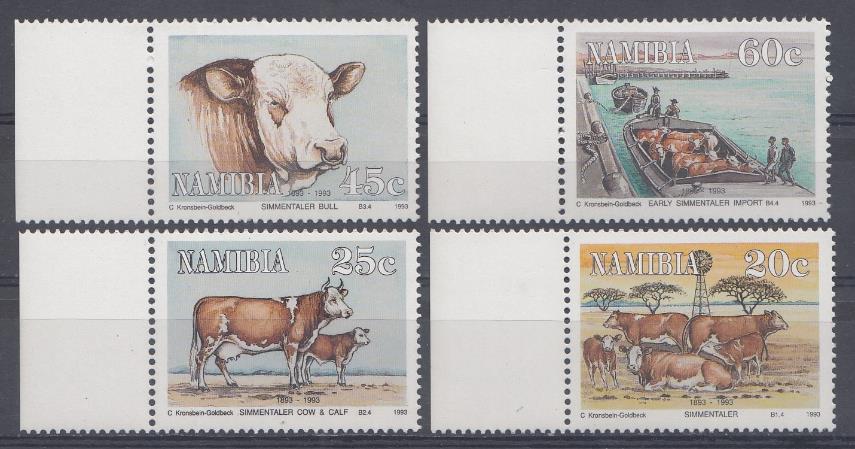 Фауна. Намибия 1993 год. Домашний скот.