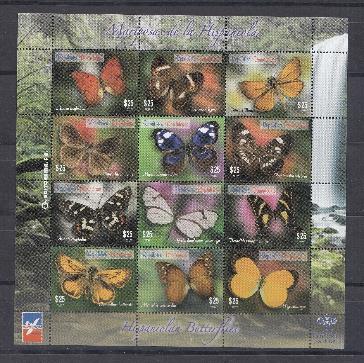 Бабочки. 2014 год. Республика Доминика.