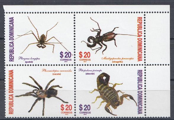 Насекомые. Жуки. Пауки. Республика Доминикана 2013 год.