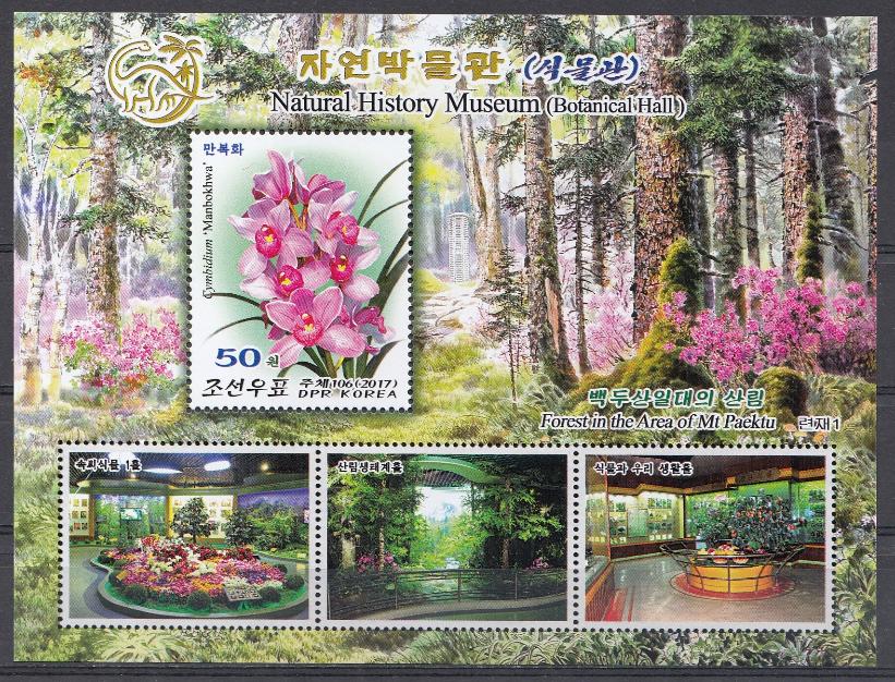 Природа. Национальный музей. Флора. КНДР  2017 год. 