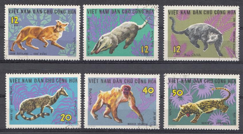 Фауна. Южный Вьетнам 1974 год. Дикие хищные животные.