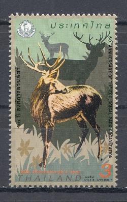 Фауна. Таиланд 2014 год.  Олени. 3