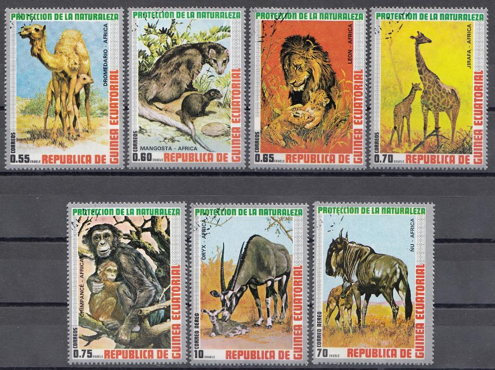 Фауна. Республика Экваториальная Гвинея 1974 год. Животный мир Африки.