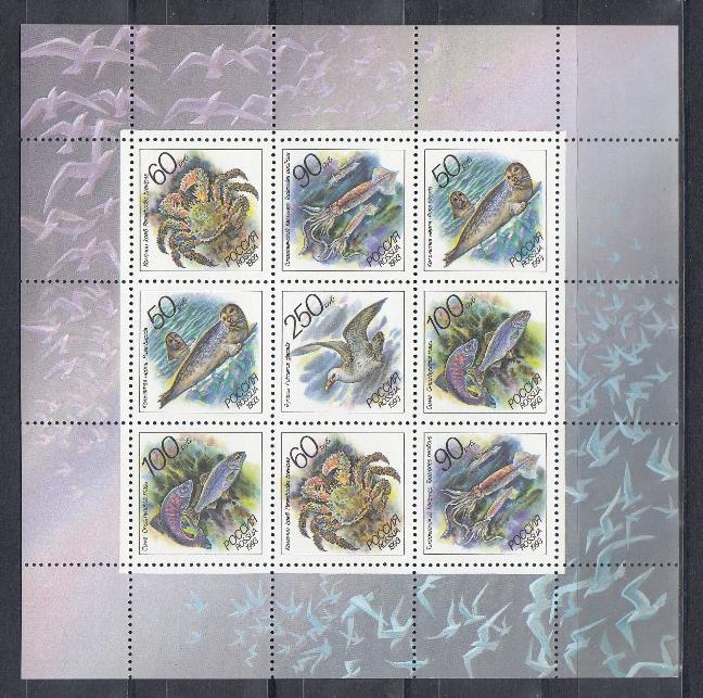 МЛ (104-108). Россия 1993 год. Морские животные.