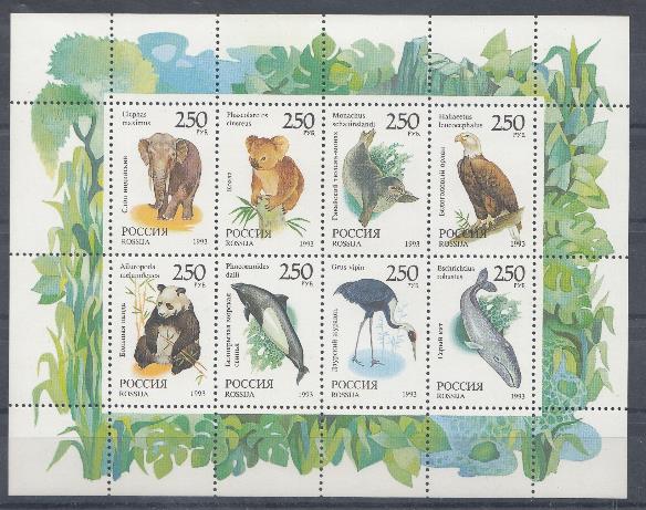  МЛ (130-137). Фауна мира. Россия 1993  год. Слон индийский. Коала. Гавайский тюлень-монах. Белоголовый орлан.  Большая панда. Белокрылая морская свинья. Даурский журавль. Серый кит.