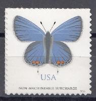 Бабочка. США 2016 год.