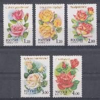  513- 517. Россия 1999 год. Флора . Розы.
