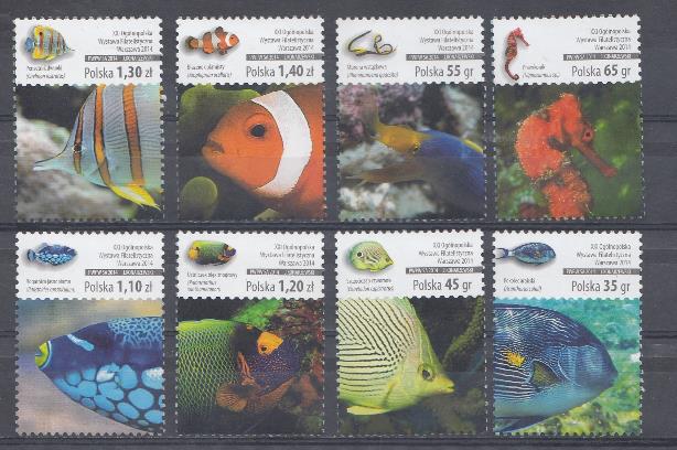 Морская фауна. Польша 2014 год.  Коралловые рыбки.