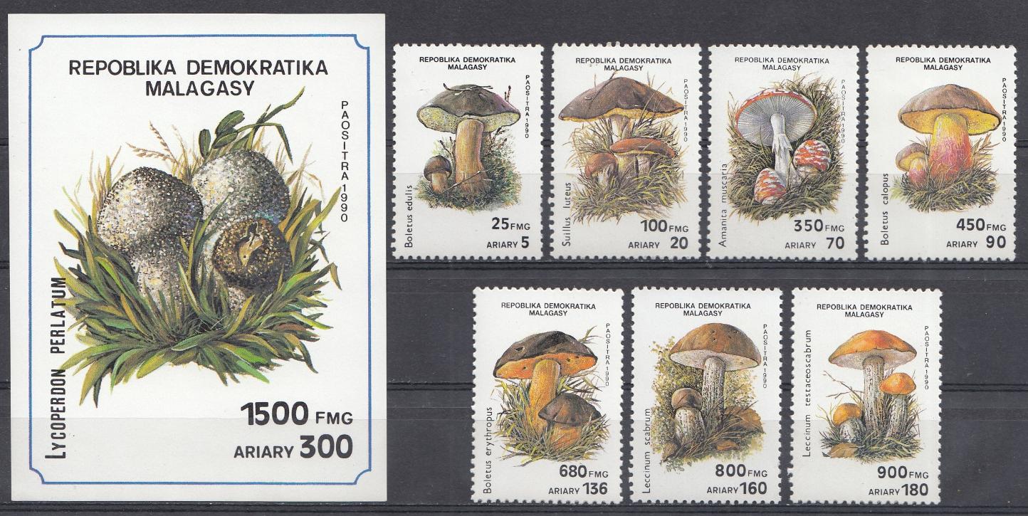Флора. Грибы. Мадагаскар 1990 год. 