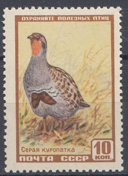 1906 СССР 1957 год. Фауна. Серая куропатка.