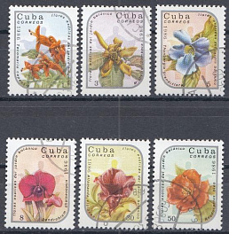 Цветы. Куба 1986 год. 