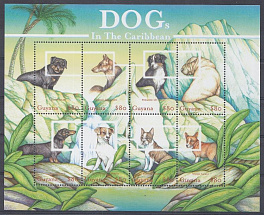 Собаки. Гвиана.