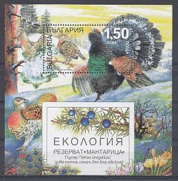 Птицы. Болгария 2013 год. Глухари. Экология.