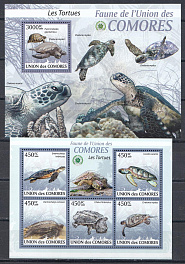 Морская фауна. Черепахи. Коморские острова 2009 год. 