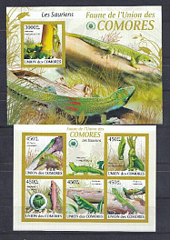 Ящерицы. 2009 год. Коморские Острова.