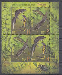 Совместный выпуск Россия - Беларусь. Фауна тритоны. Беларусь 2012 год.