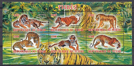 Тигры. Республика Чад 2013 год.