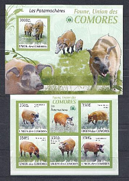 Фауна. 2009 год. Федеральная Исламская Республика Коморские Острова.