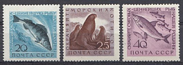 2382- 2384 СССР 1960 год. Фауна  СССР.  Охрана ценных рыб и морских животных.