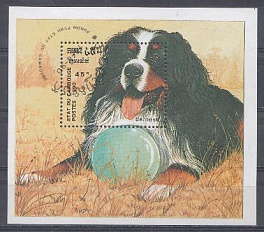 Собака с шаром. Камбоджа 1990 год.