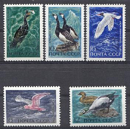 4024- 4028. СССР 1972 год. Пернатые- обитатели побережий морей и океанов. 1