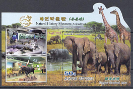 Фауна.  Музей истории Земли. КНДР 2017 год. Слоны.