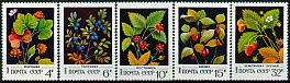 5205-5209. СССР 1982 год. Дикорастущие ягоды